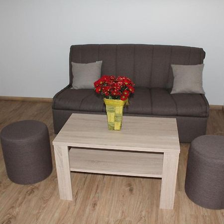 Petite Apartment Maribor Bagian luar foto