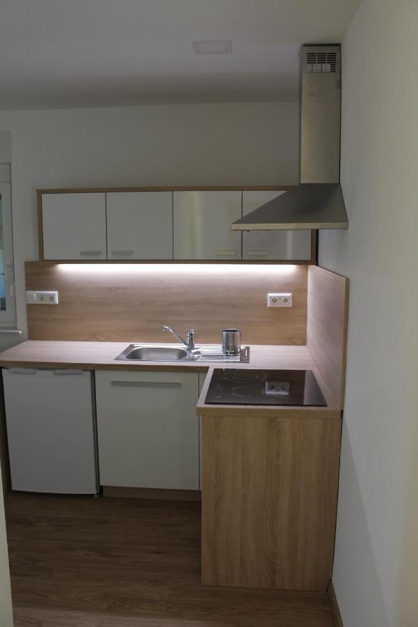 Petite Apartment Maribor Bagian luar foto